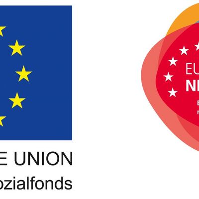 Logo: Europa für Niedersachsen - ESF Förderung für die niedersächsischen Regionen