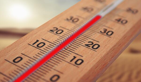 Ein Thermometer zeigt eine Temperatur von 39 Grad an.