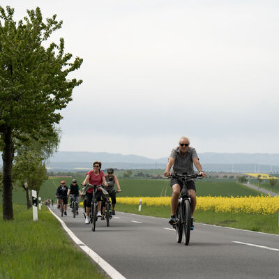 Fahrradfahrer bei einer Radtour. Sie fahren auf einer Stra�e, an den Seiten bl�ht der Raps.