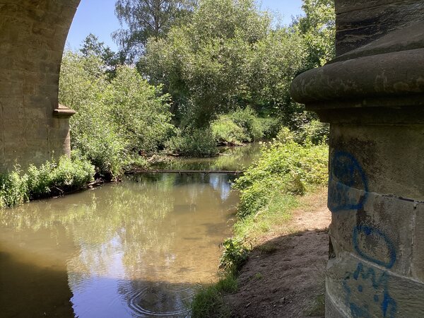 Eine Br&uuml;cke, ein Flussbett und Wald im Hintergrund
