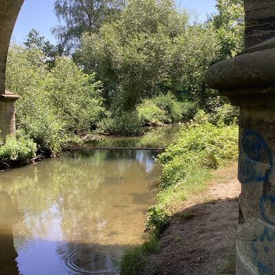 Eine Br�cke, ein Flussbett und Wald im Hintergrund