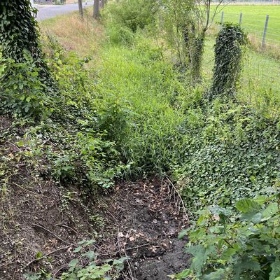 Ein trockenes Flussbett, Rasen, Stauden und Gew�chse in der nahen Umgebung.